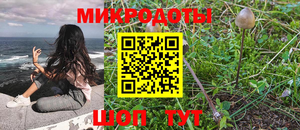 Галлюциногенные грибы прущие грибы  Вход с VPN  Тверь  Галлюциногенные грибы Psilocybe 